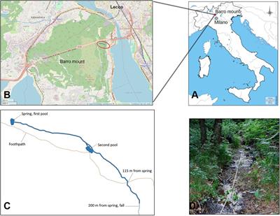 Not Only Environmental Conditions but Also Human Awareness Matters: A Successful Post-Crayfish Plague Reintroduction of the White-Clawed Crayfish (Austropotamobius pallipes) in Northern Italy